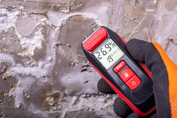 Why You Should Choose Our Mold Remediation Services in East Pittsburgh, PA